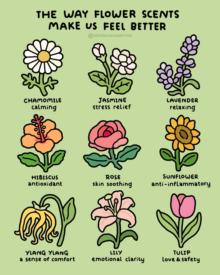 A flower-themed Coco Wyo coloring freebie